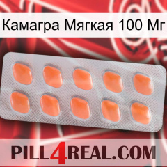 Камагра Мягкая 100 Мг 26